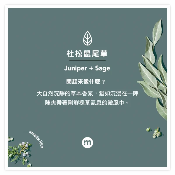 男仕洗護髮露 – 杜松+鼠尾草 414ml 效期2026.05：圖片 2