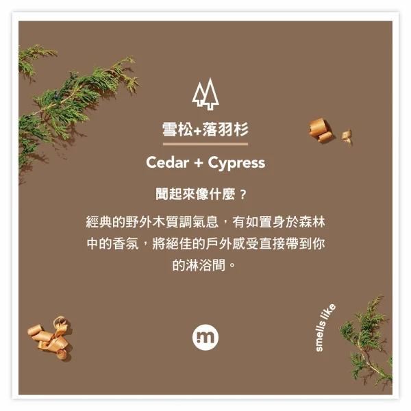 都會型男潔淨沐浴髮膚組 – 雪松+落羽杉：圖片 2