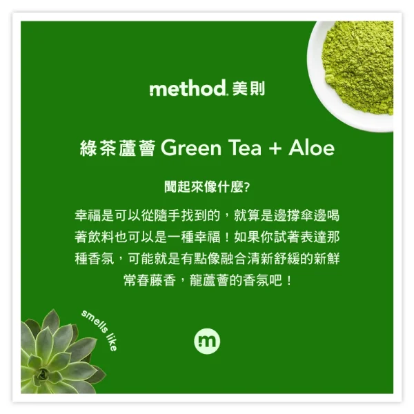 泡沫洗手露 – 綠茶蘆薈 300ml：圖片 2