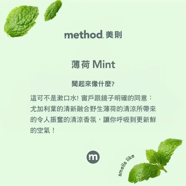 最好的玻璃清潔劑–薄荷2L(已停產，效期2026.6)：圖片 2