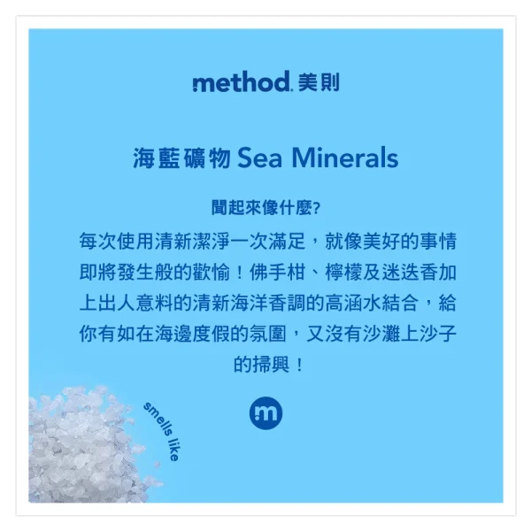 泡沫洗手露 – 海藍礦物 300ml(效期2025.11)：圖片 2